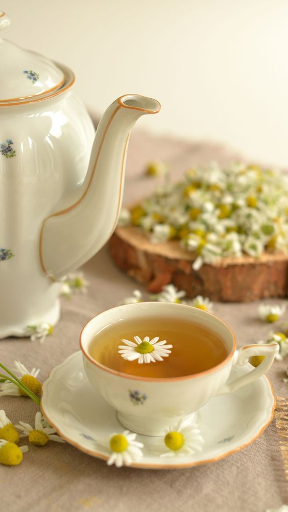 chá camomila é o melhor e mais saboroso
