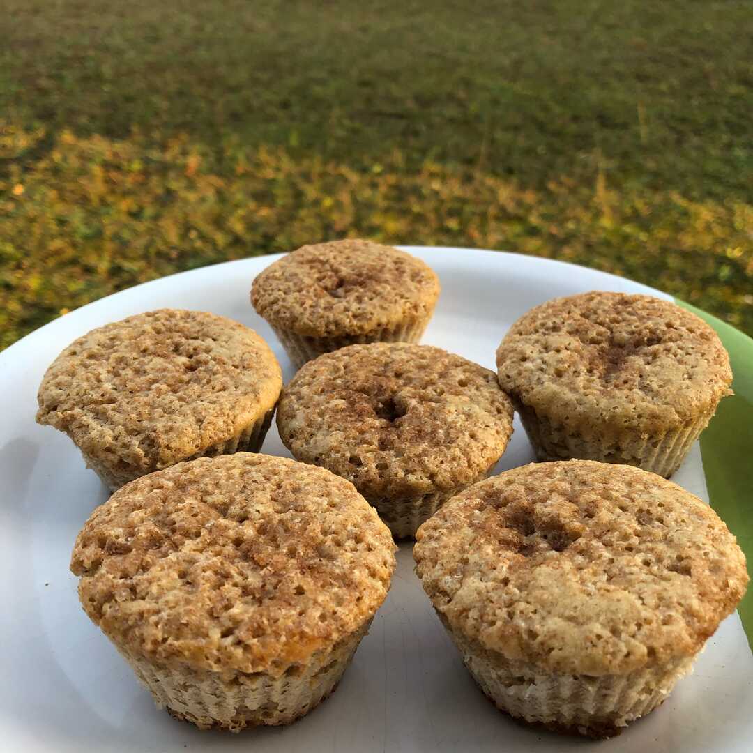 Muffins de aveia e maçã tudo gostoso