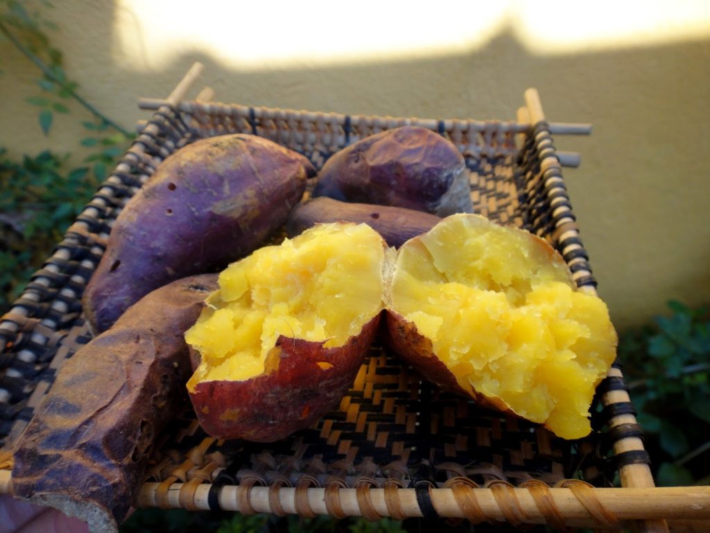 Batata doce cozida prático