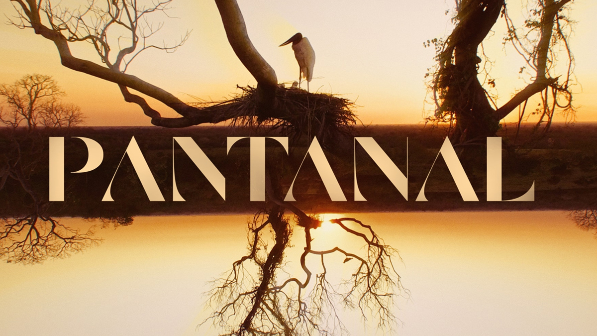 pantanal-logo.jpg